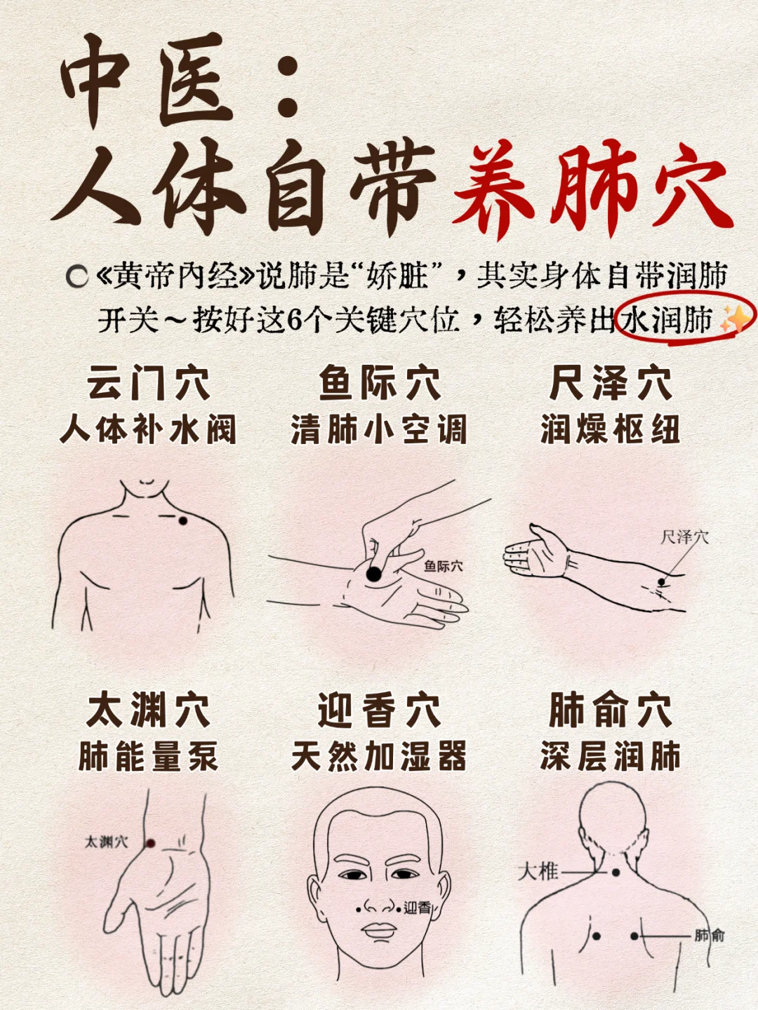 中医：人体自带养肺穴