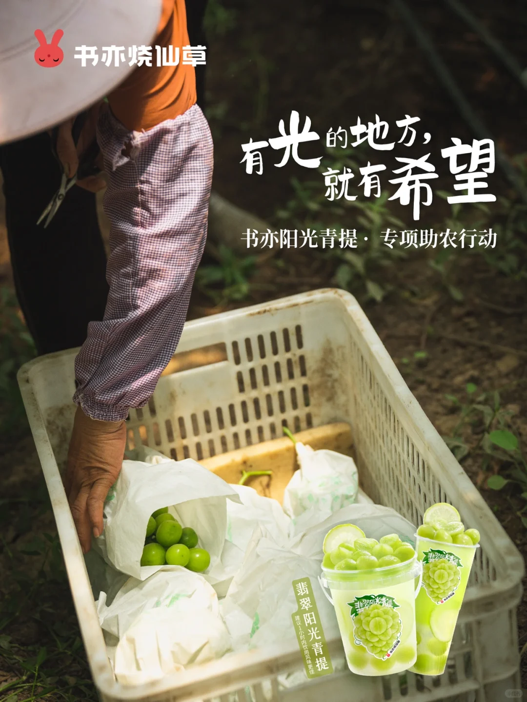 ?乡村振兴！我们是认真的！