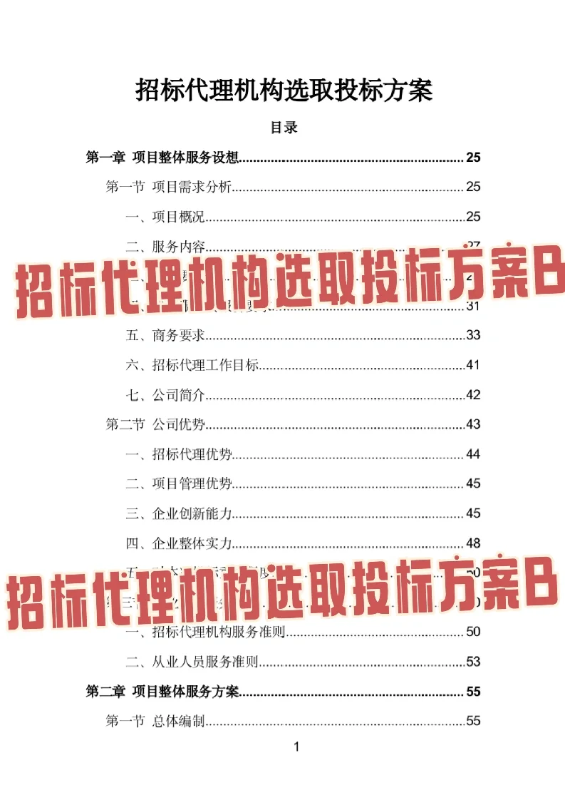 招标代理机构选取投标方案模板