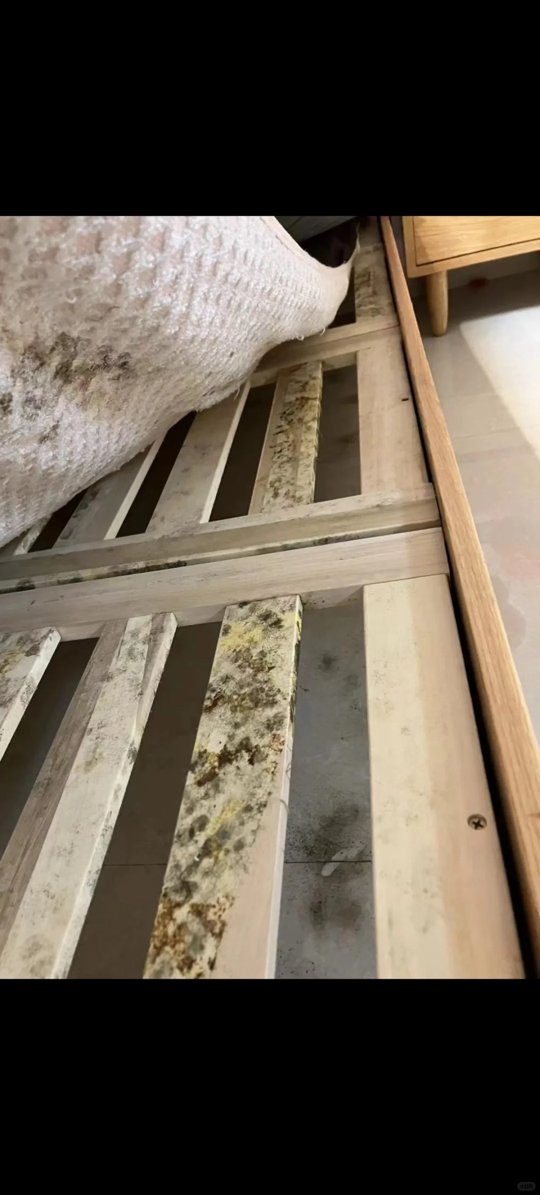 家具板材，床，实木柜体发霉？安全最重要！