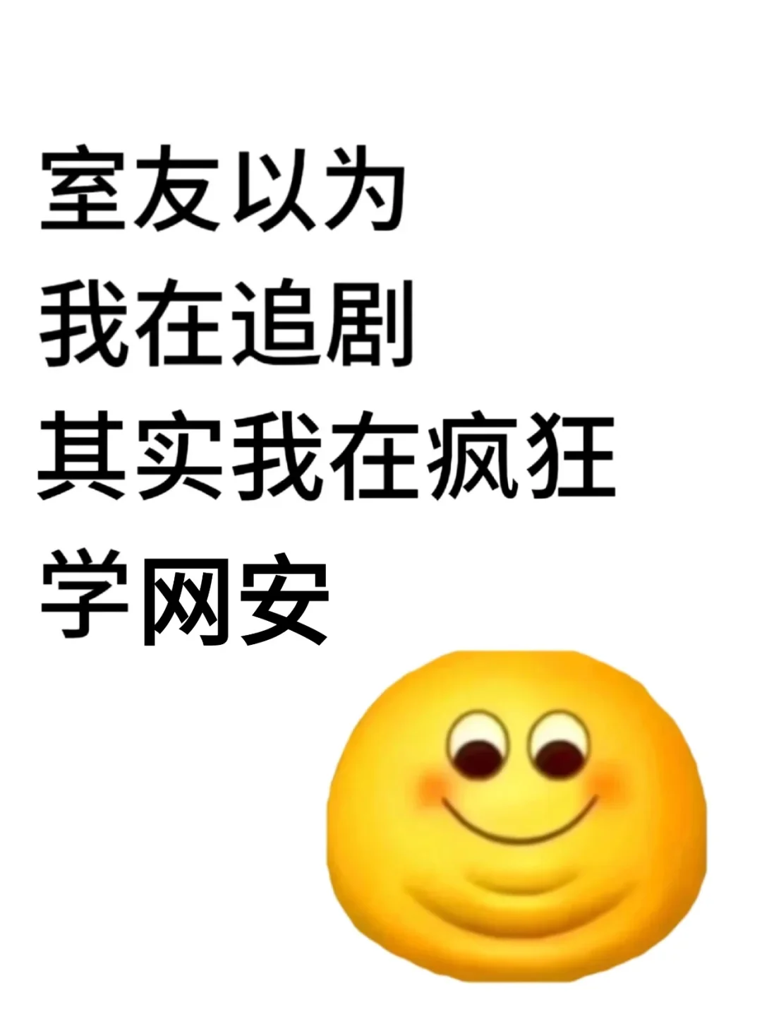 室友以为我在追剧 其实我在疯狂学网安