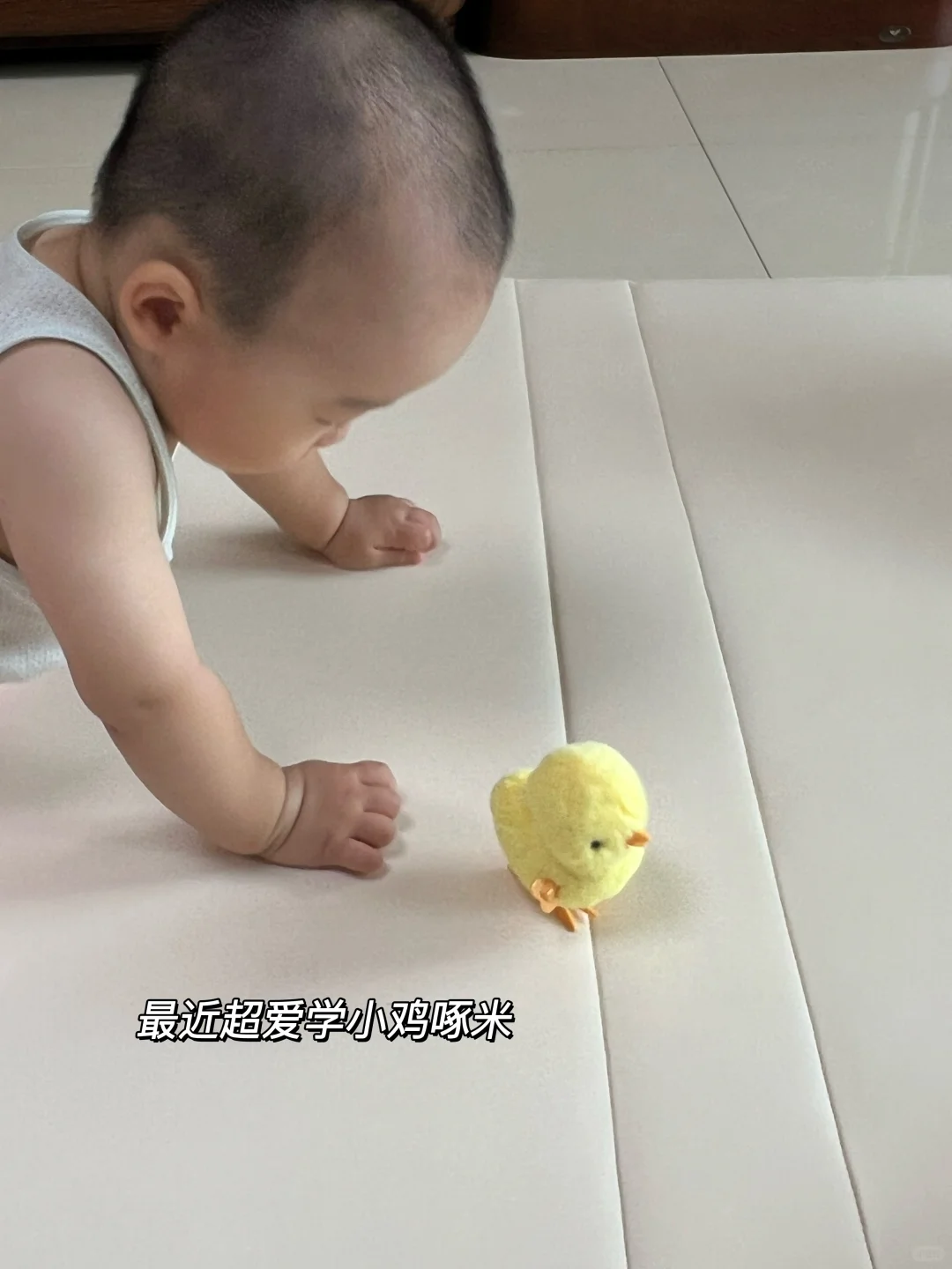 ??宝宝玩具分享|9-12月龄