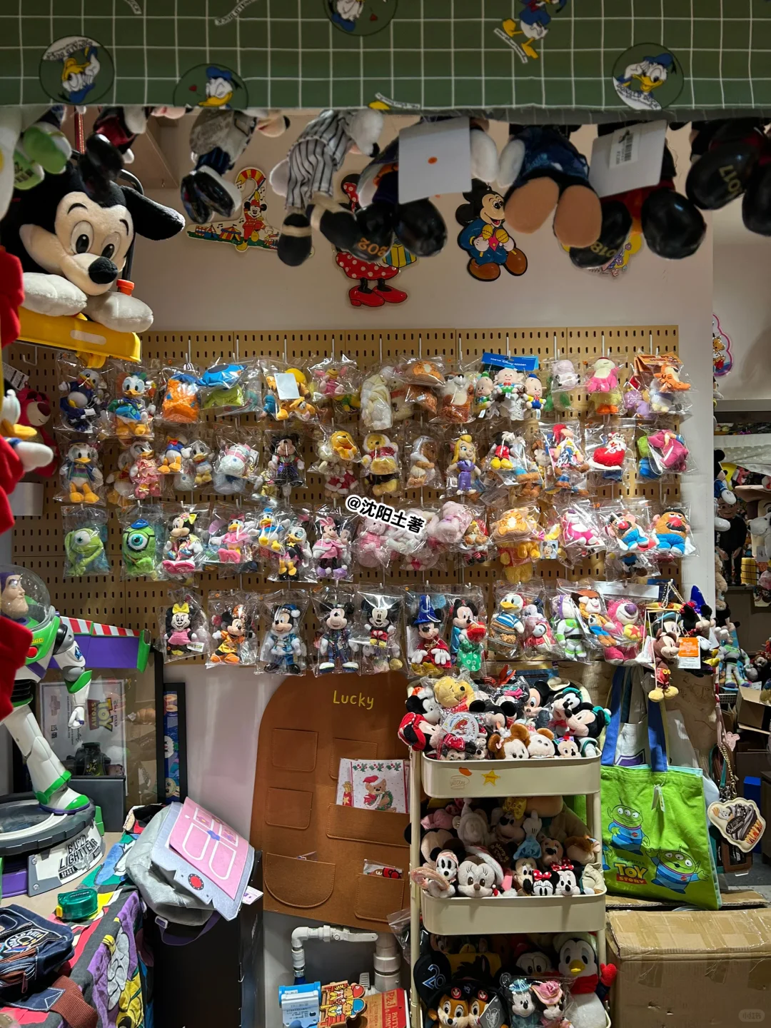 定期拔草之 沈阳这家玩具店全是宝?