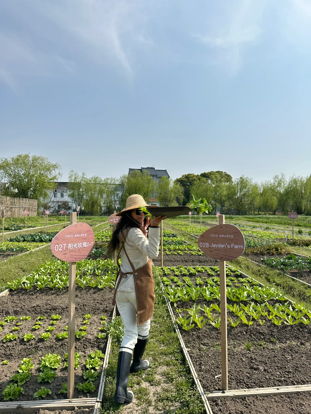 人生第一次种地！是“向往的田园生活了”