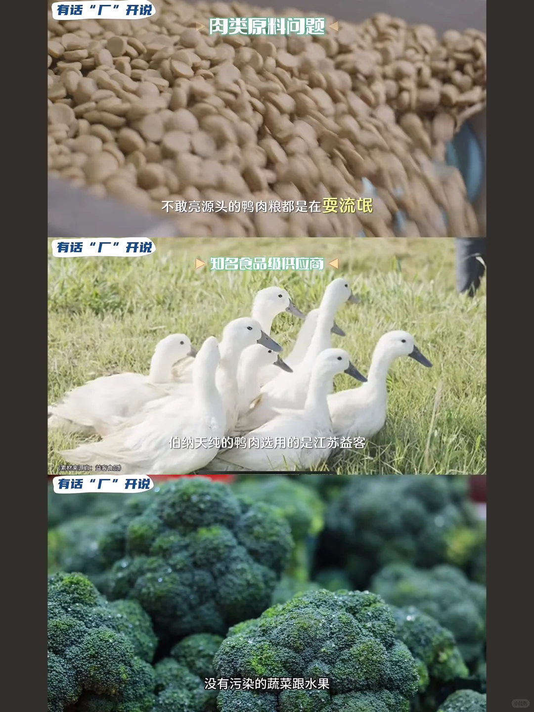 看完这个老年犬粮溯源视频，我终于放心了