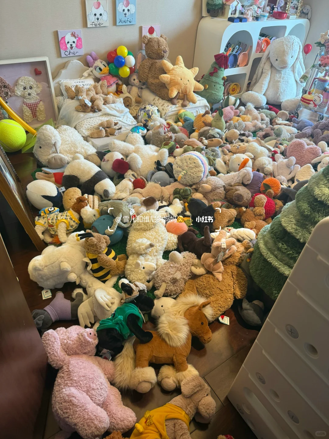 一口气背着家人买了16w的jellycat现状