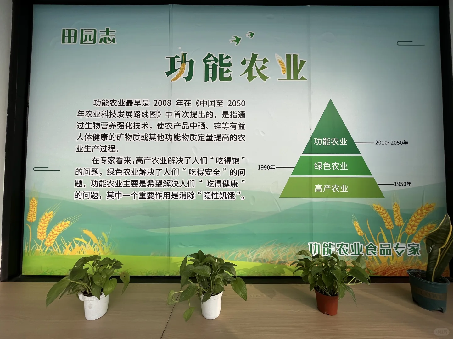 全家的健康都被这家超市承包啦！