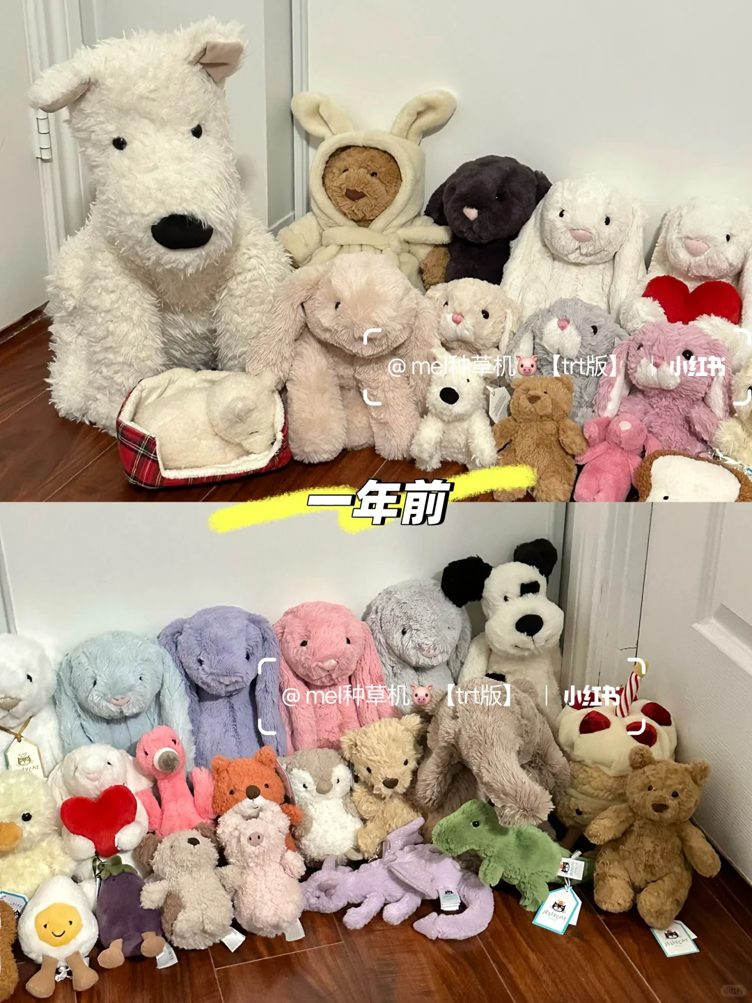 入坑jellycat一年老公买了155只玩偶给我?