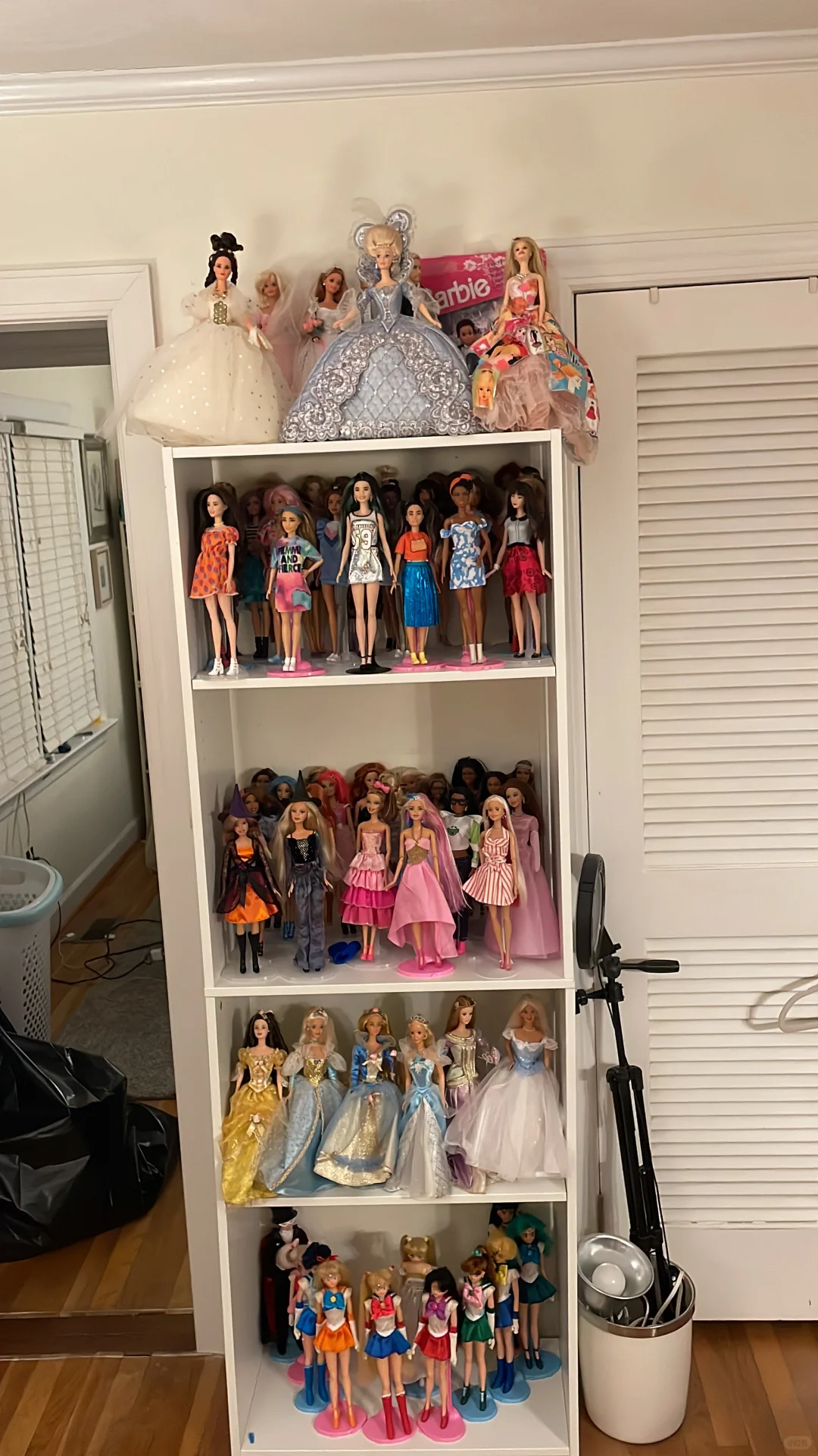 我收藏的芭比娃娃
