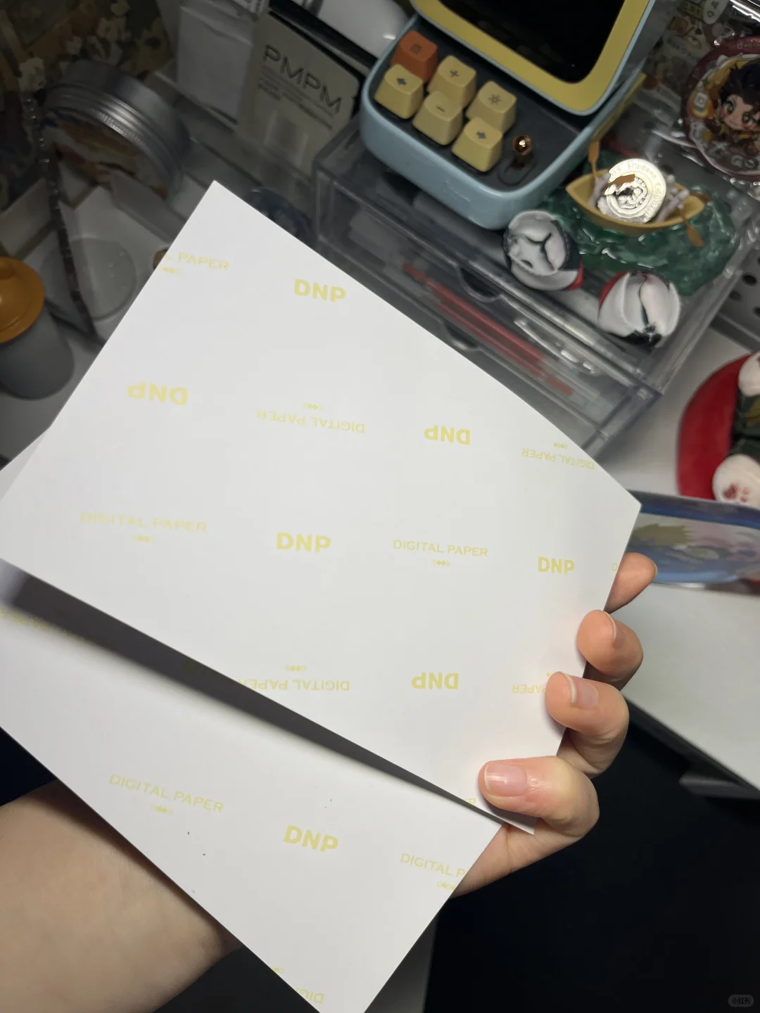 【3元加购】三张凹凸世界雷狮海盗团拍立得