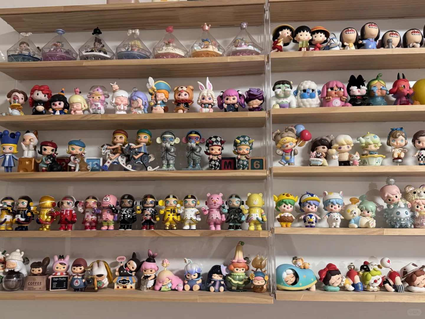 我是收集癖患者