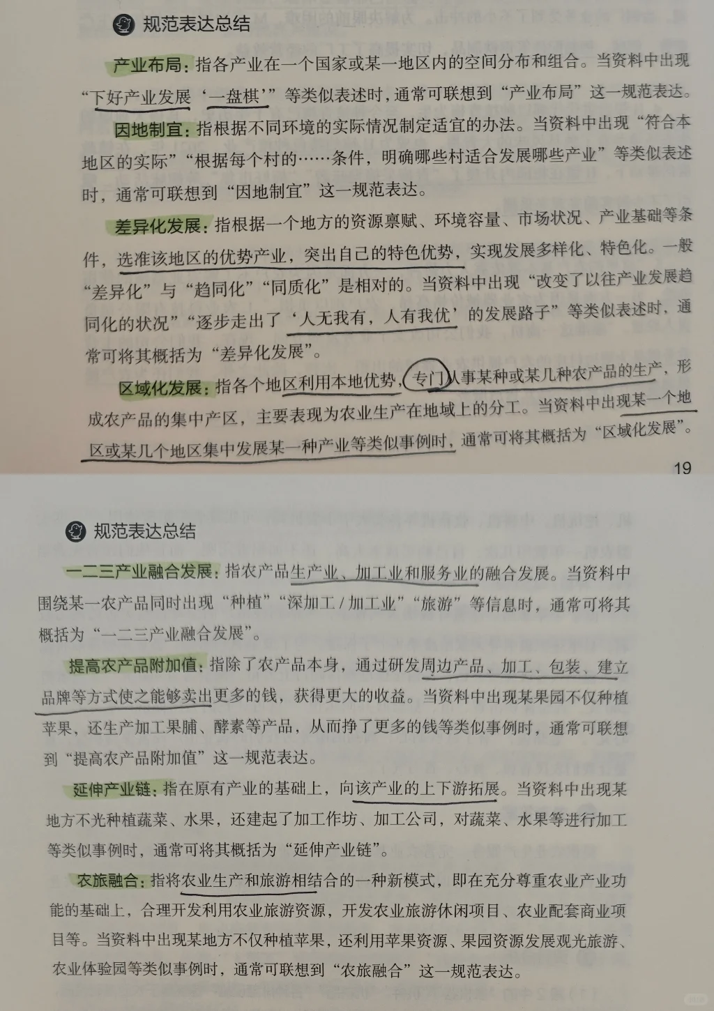 申论规范词-乡村振兴