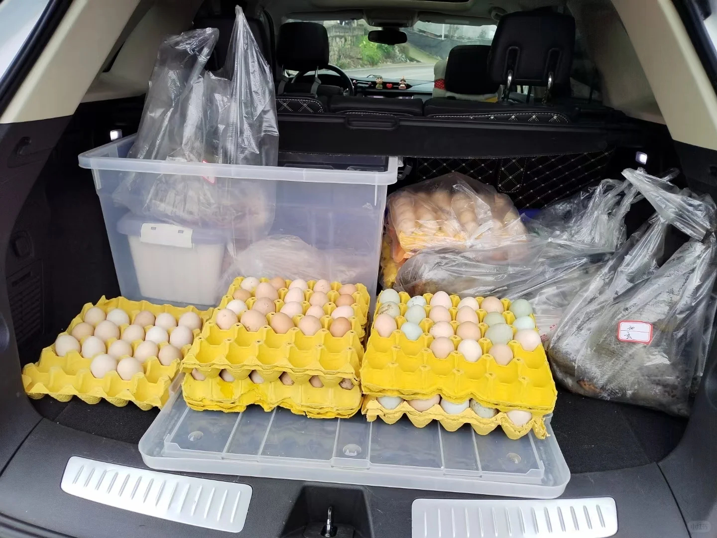 重庆大渡口双山也有土鸡土鸭农产品了