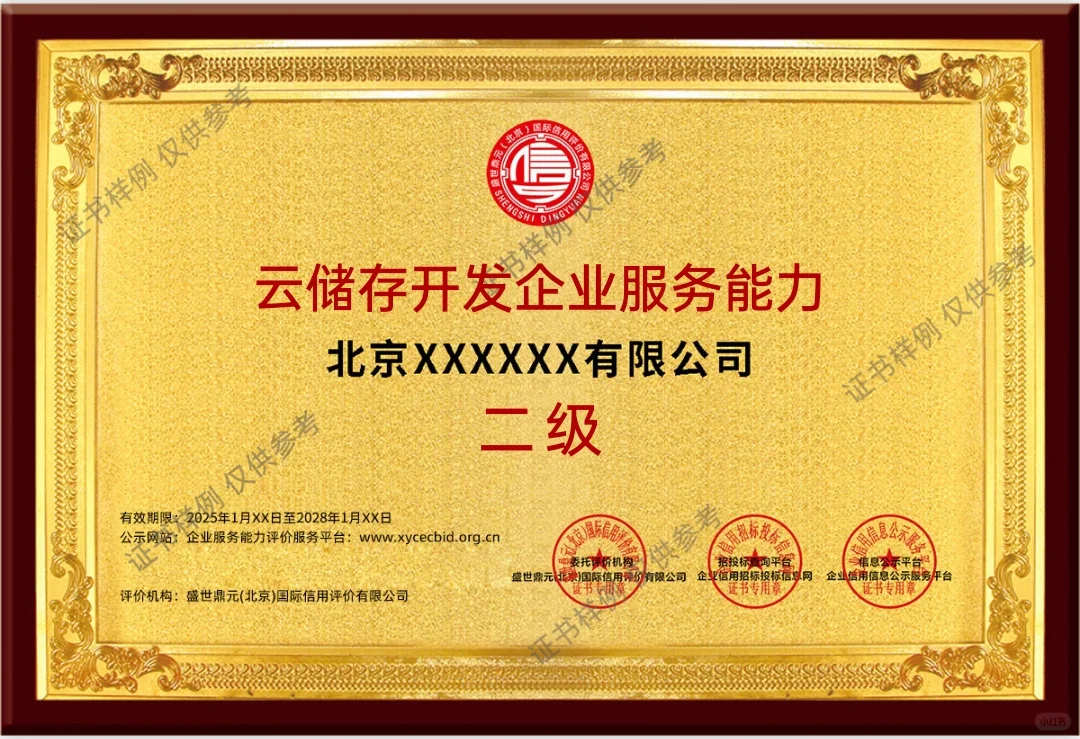 云储存开发企业服务能力等级二级证书