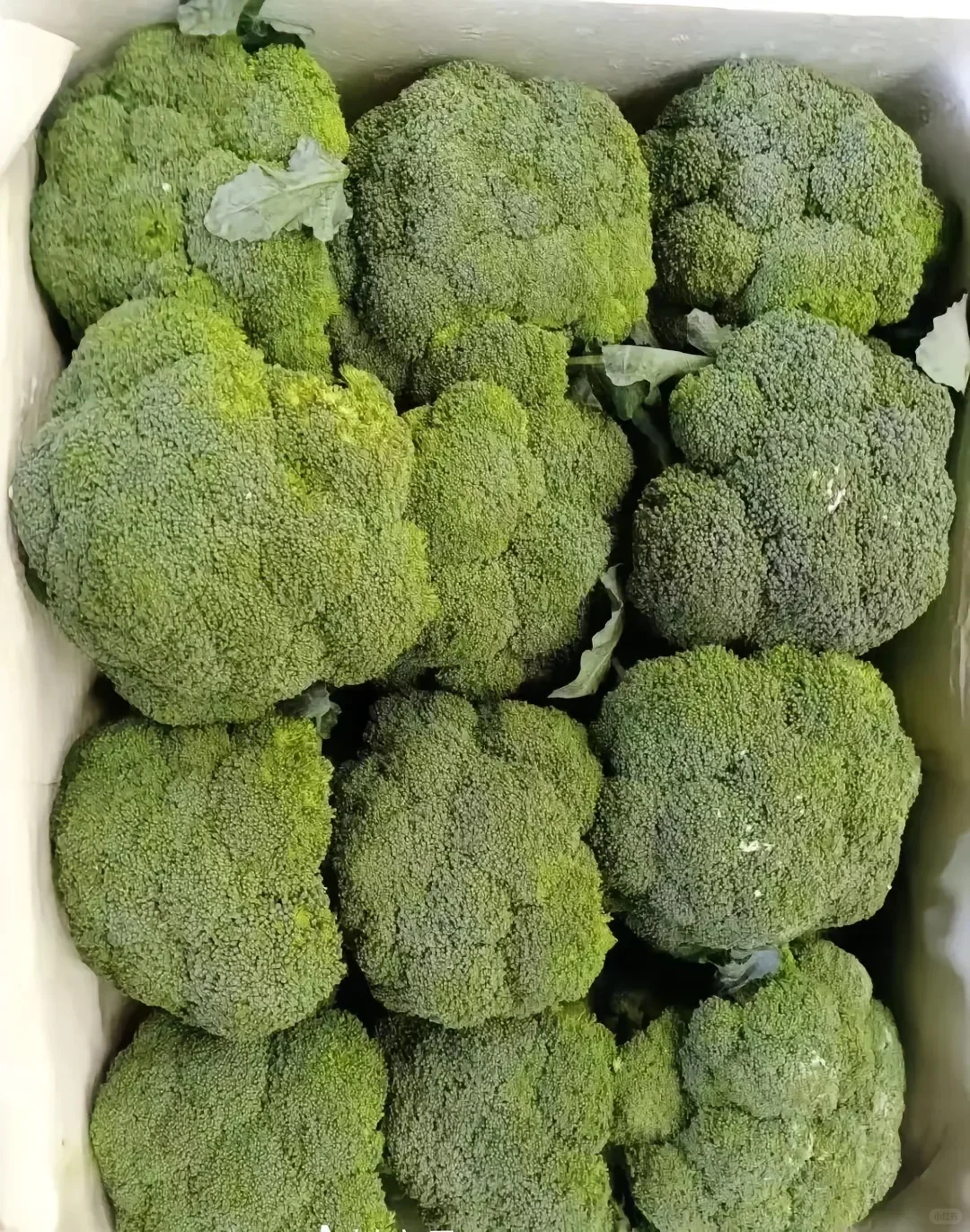 上海 全区 食材 餐饮 供应 配送