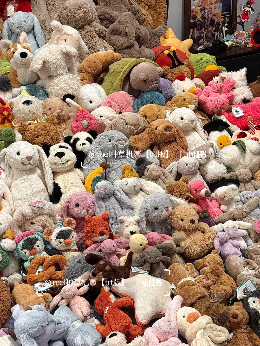 入坑jellycat一年老公买了155只玩偶给我?