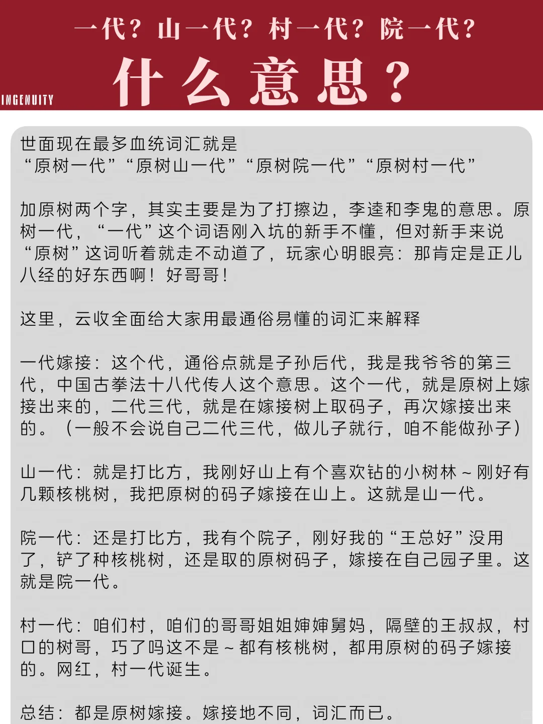 云收带您深入解析文玩核桃那些事儿