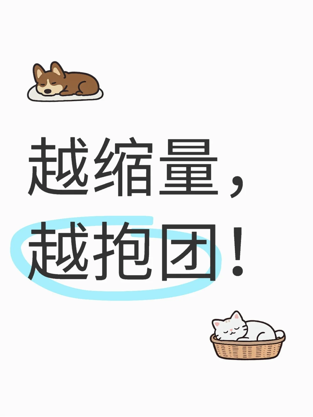 【股价创历史新高】 2025.09.22 周一