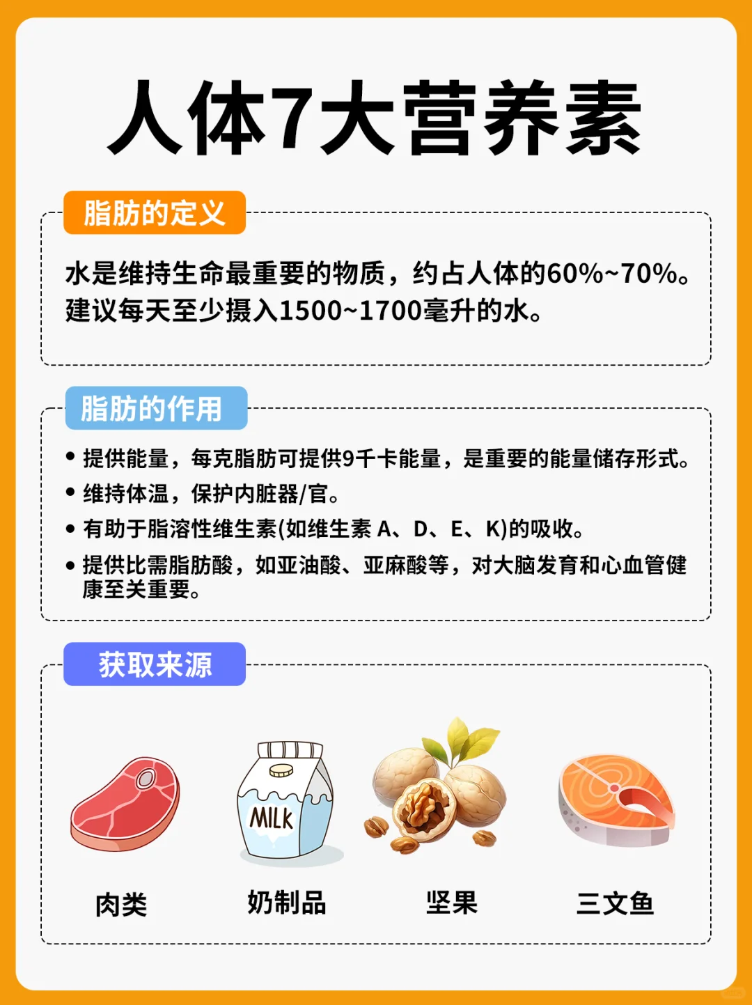 人体7大营养素，你都吃对了吗？