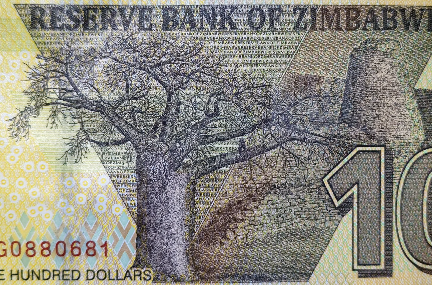 每日一钞：津巴布韦100元（2020版）
