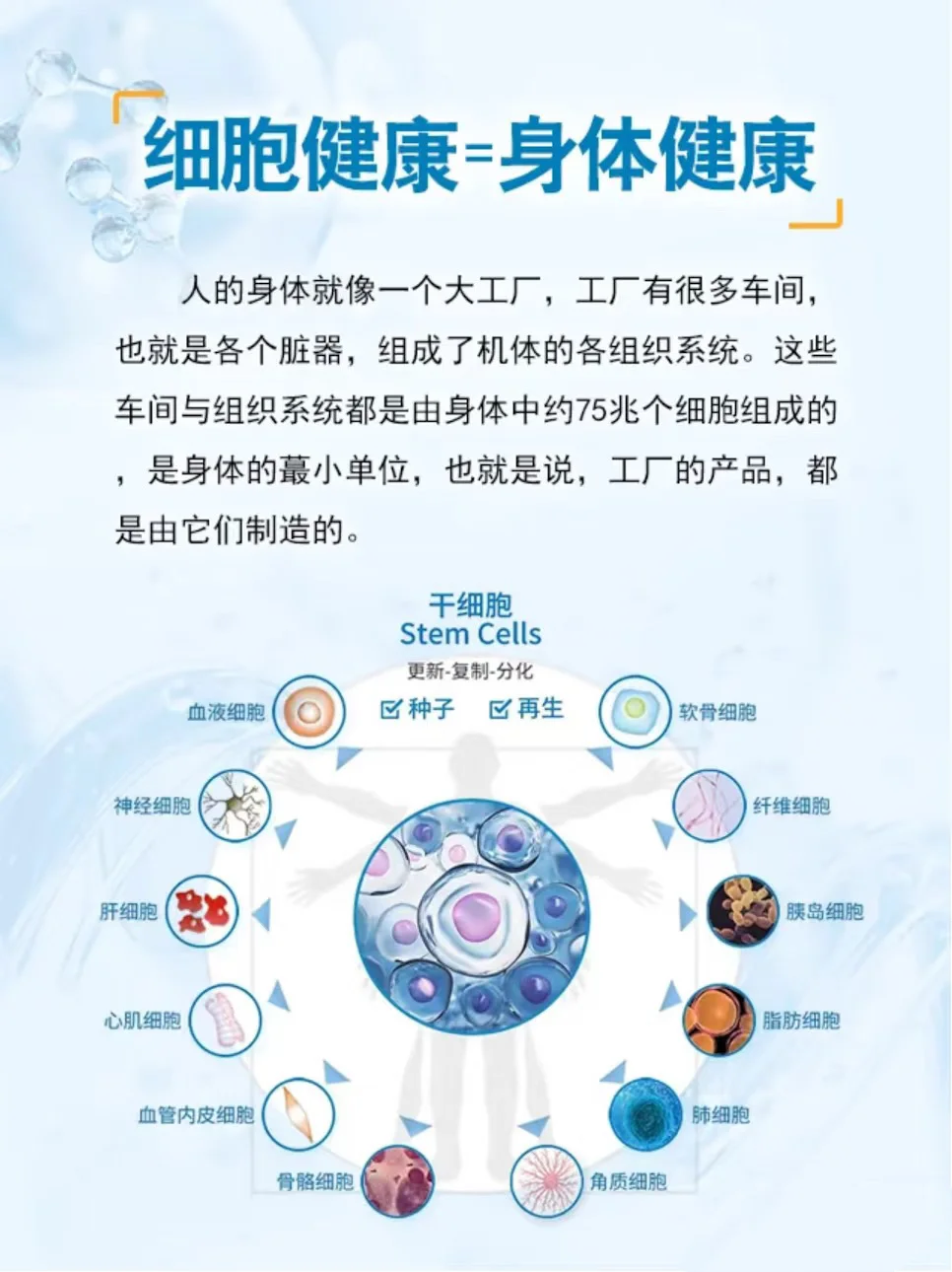 细胞好身体好，守护健康从细胞开始