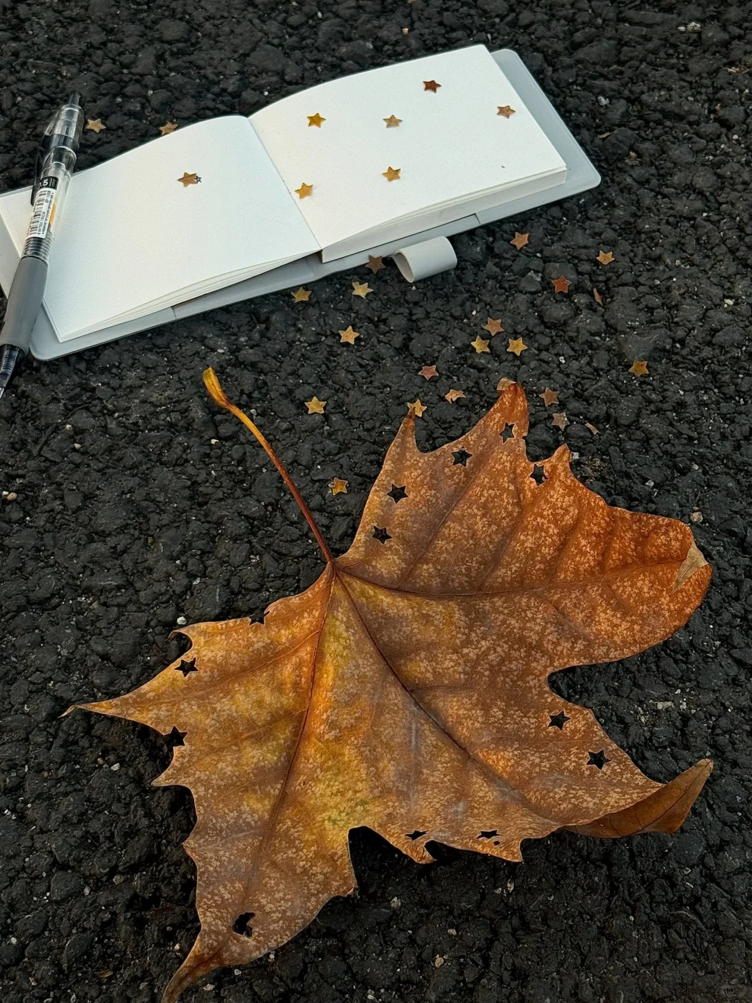 这句歌词也太适合十一月发了吧???