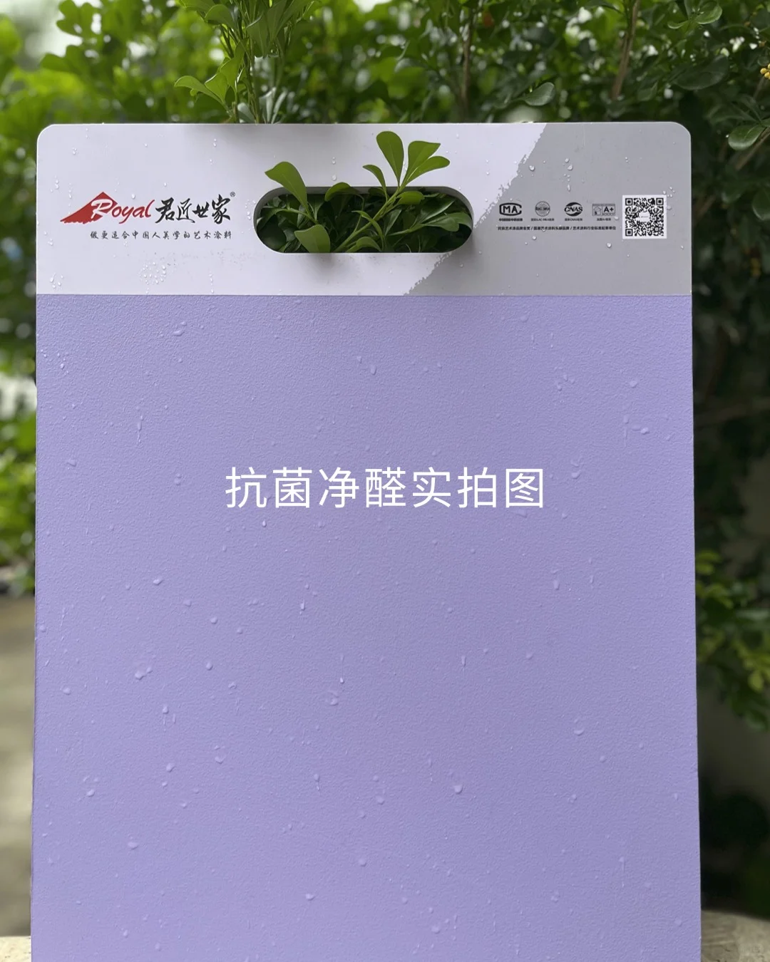 ?抗菌净醛艺术涂料，守护家人健康！