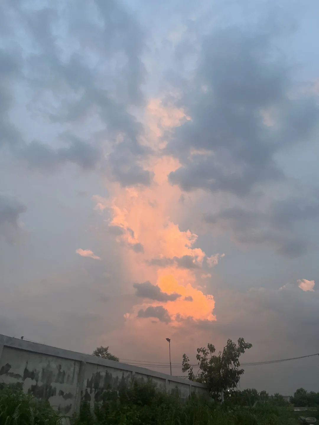 垃圾佬 干就完了