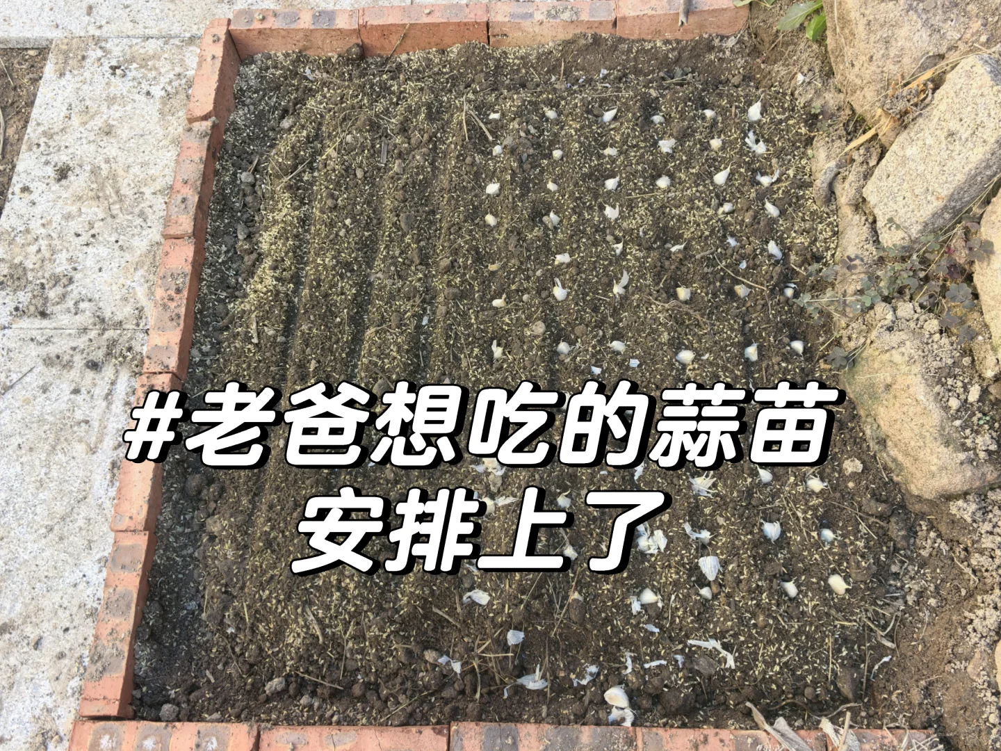 在青岛|当我用1250/月租到心仪的崂山小院