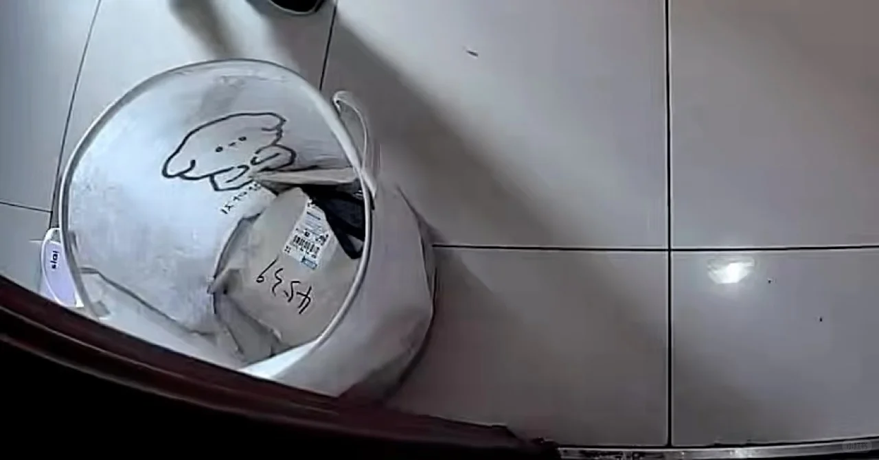 邪修诚不欺我。 家门口丢失的快递回来了！！！