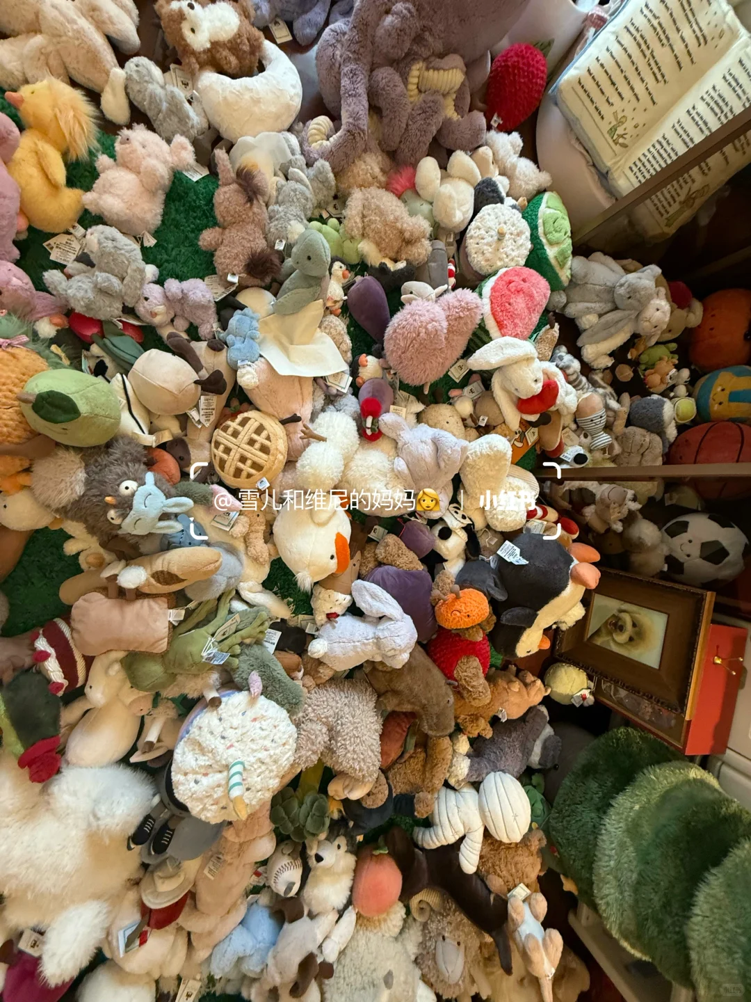 一口气背着家人买了16w的jellycat现状