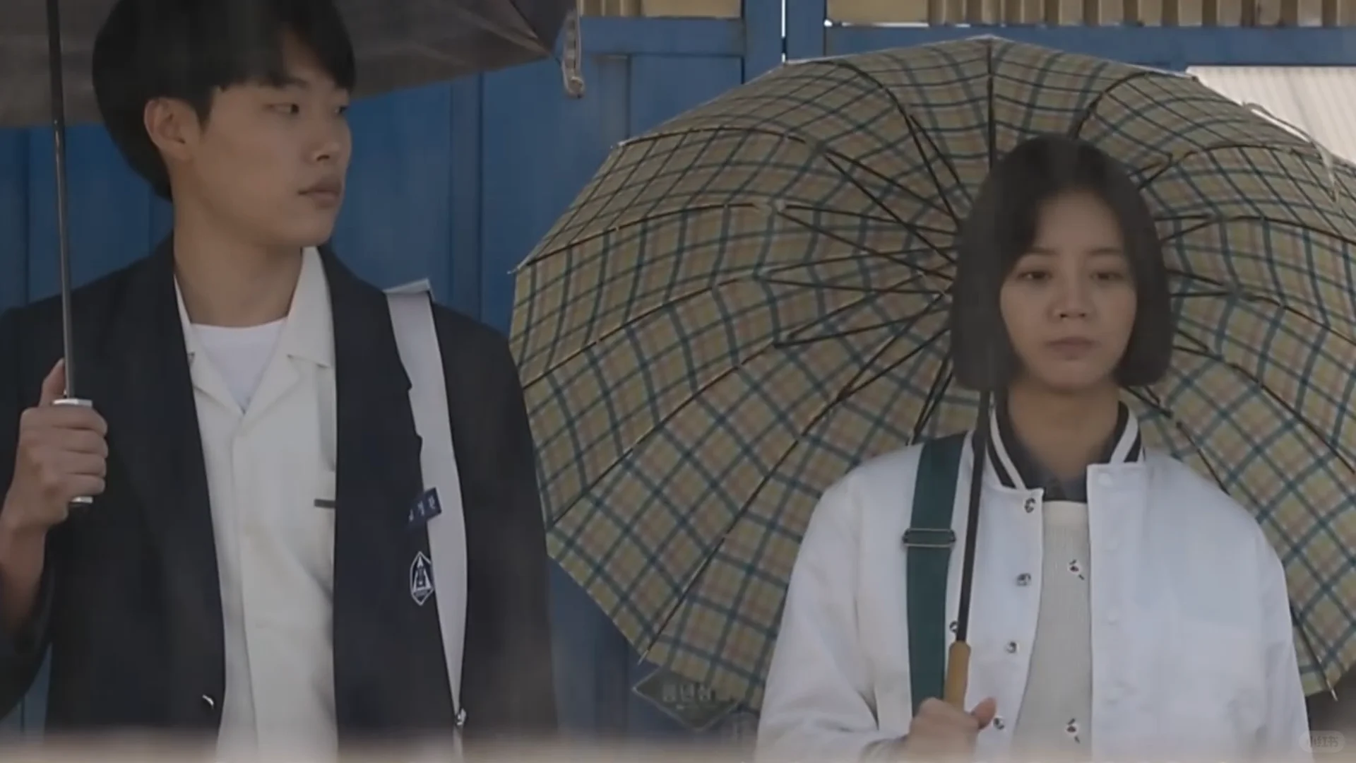 新的开始(2025.11.2)j