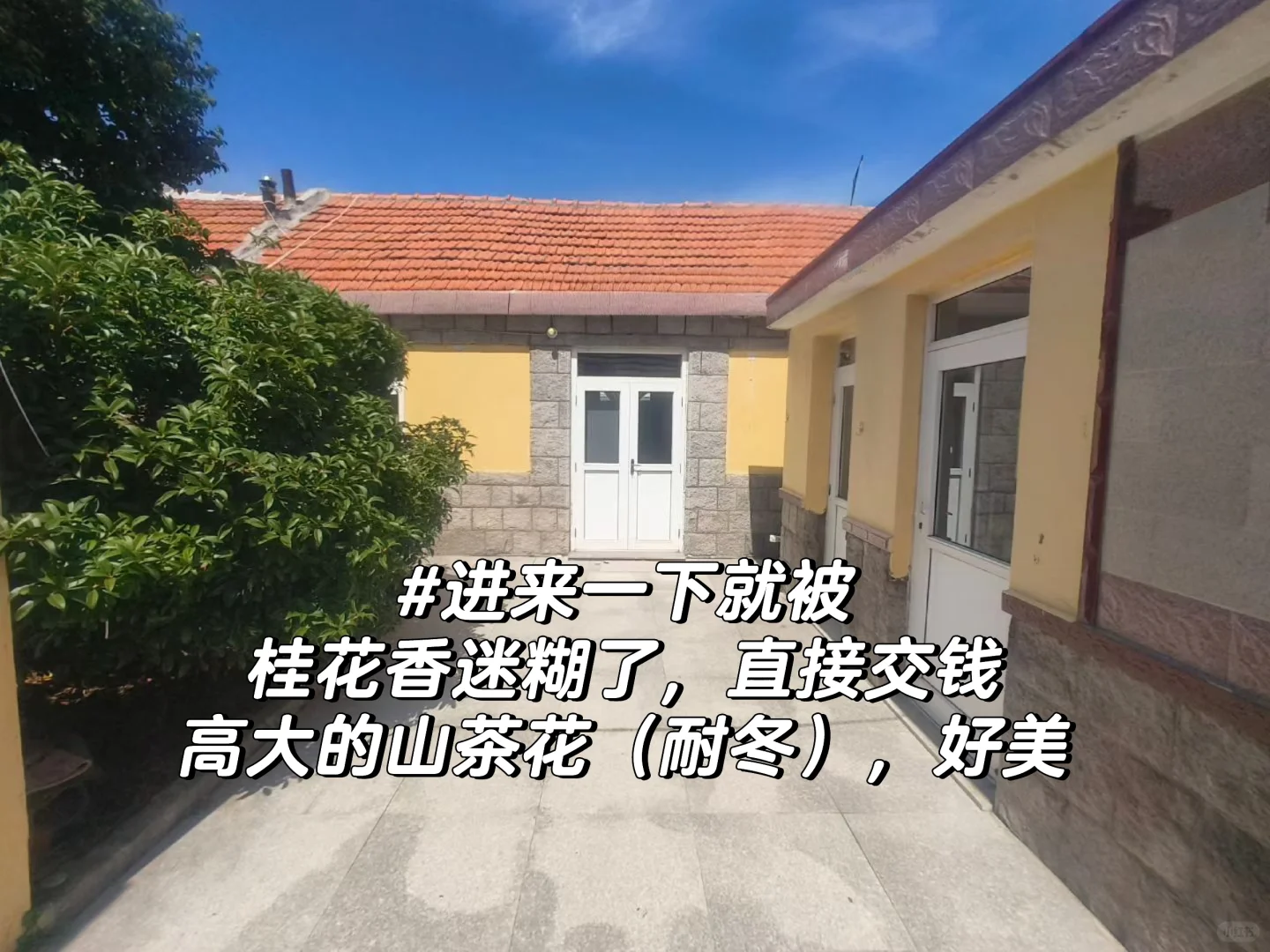 在青岛|当我用1250/月租到心仪的崂山小院