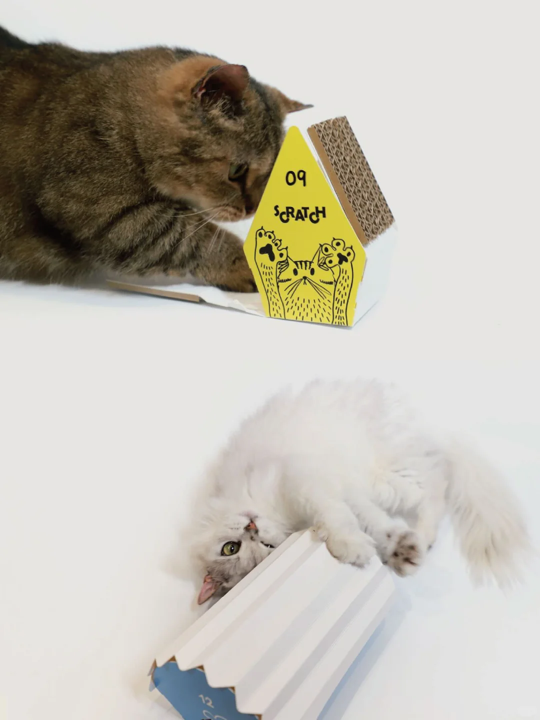 双料大奖?为猫咪做了12款“感官盛宴”包?