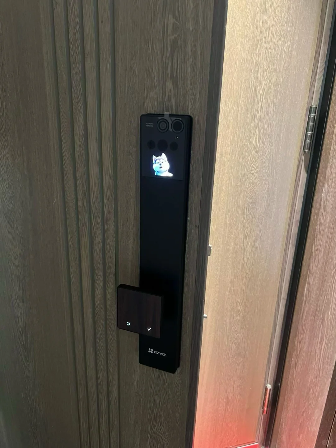 萤石Y5000FVP定制木纹把手款