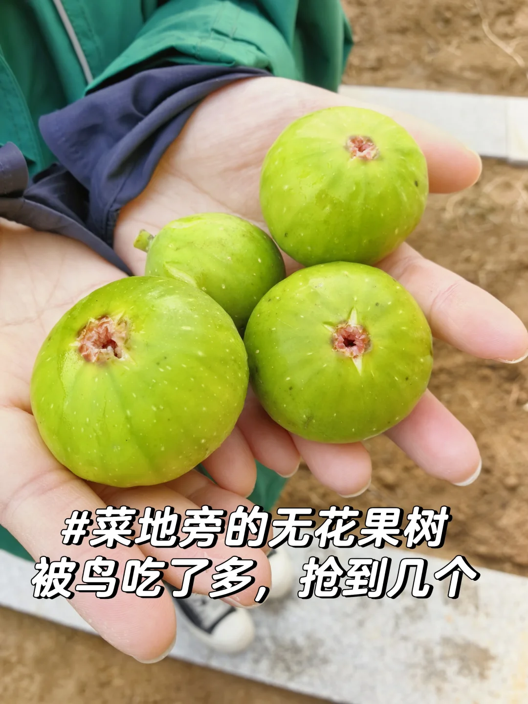 在青岛|当我用1250/月租到心仪的崂山小院