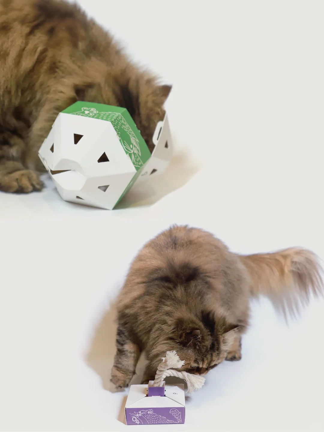 双料大奖?为猫咪做了12款“感官盛宴”包?