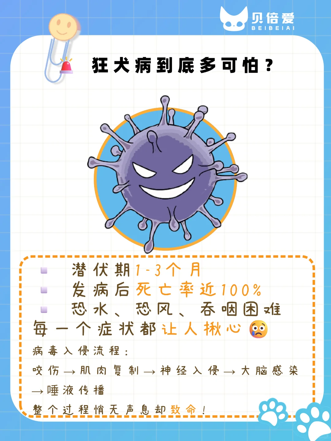 光打疫苗真不够!防狂犬病这些步骤不能少