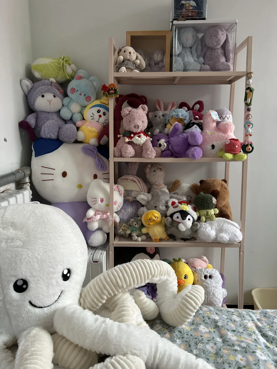 我的娃娃展示柜