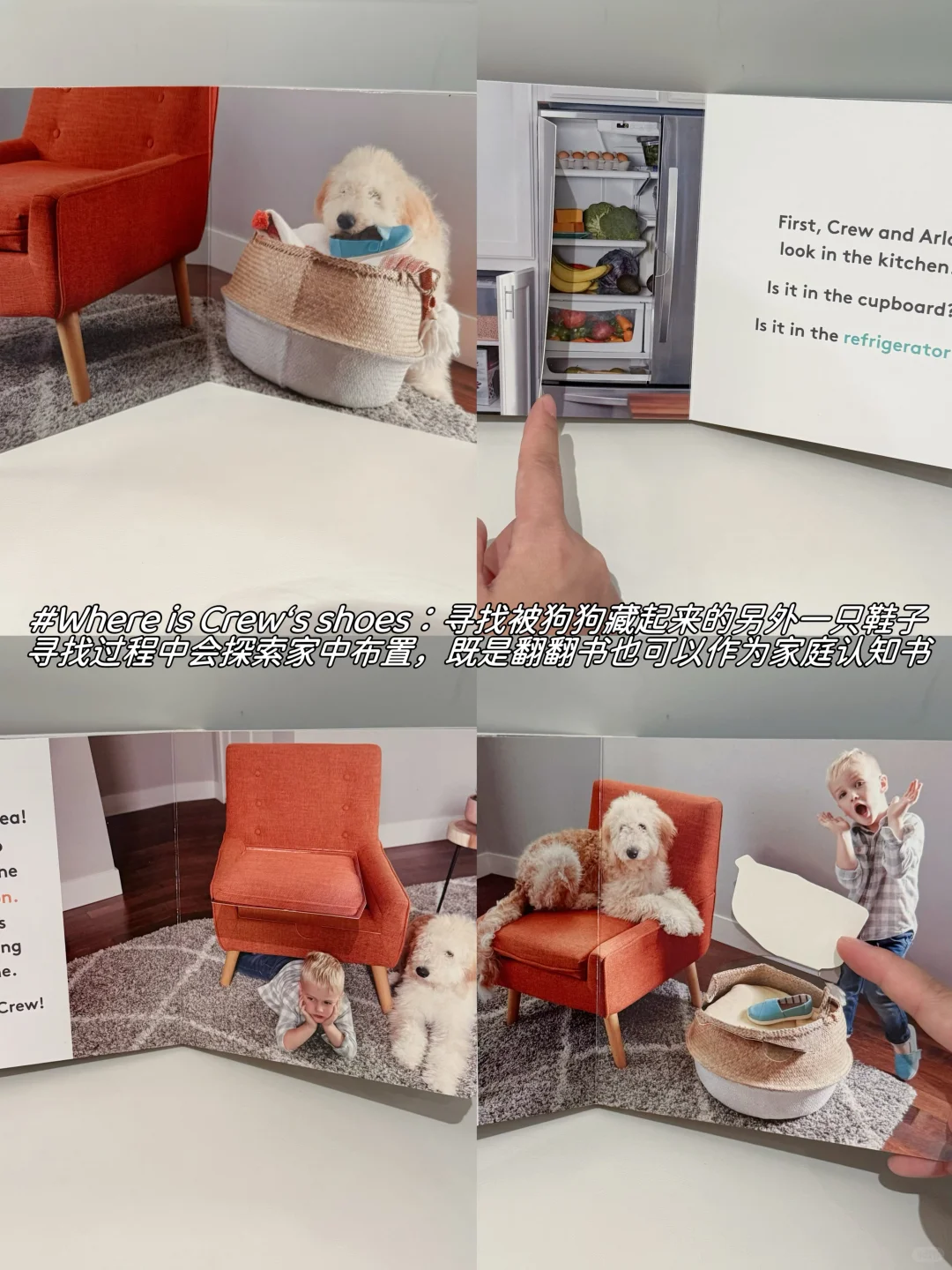 13月龄|宝宝最爱这些玩具和书