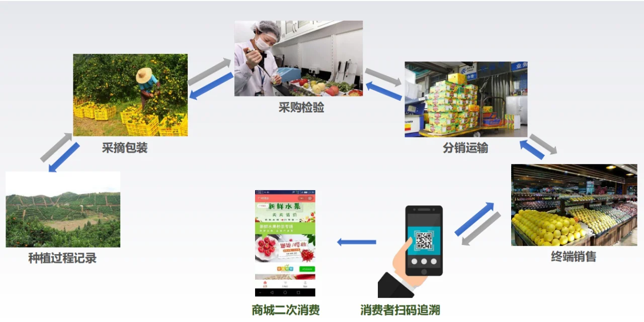 农产品＆食品溯源怎么做？