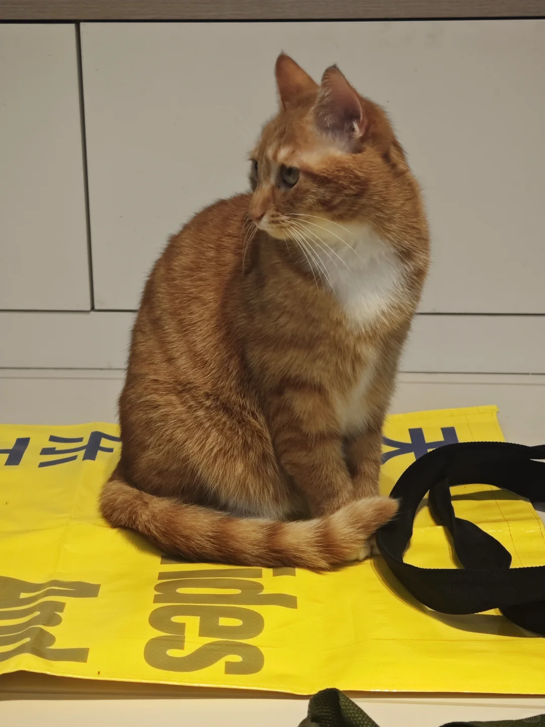 ?上海乐器展结算画面?