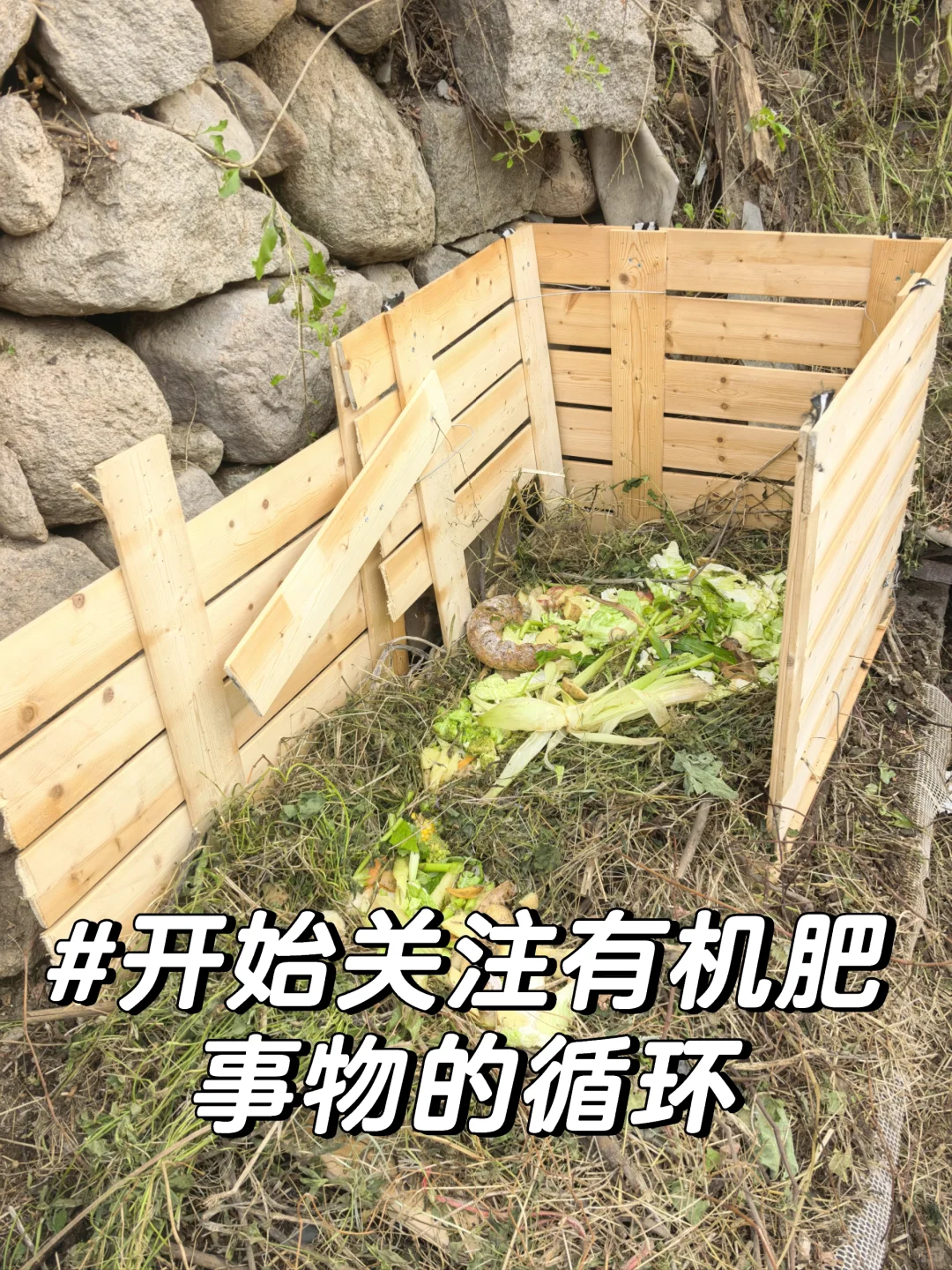 在青岛|当我用1250/月租到心仪的崂山小院