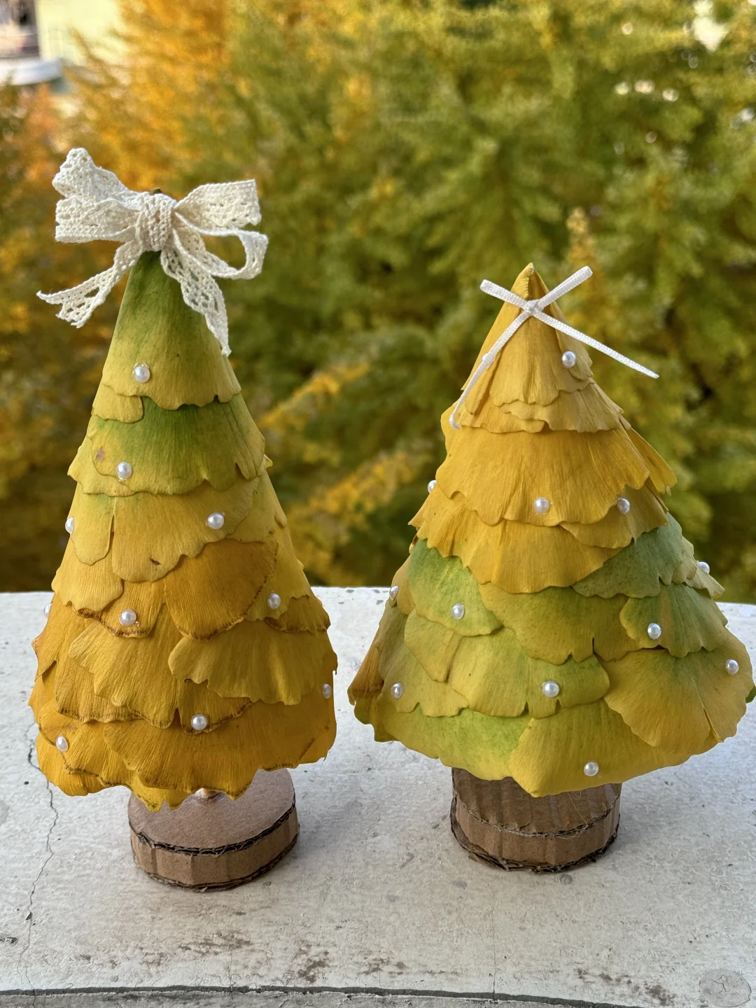 捡秋做圣诞树啦?（附工具和步骤图）