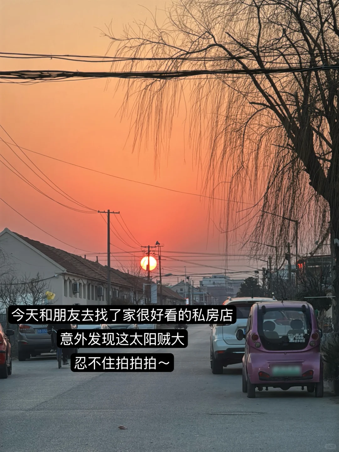 感觉今年主理人IP，走这个模式会轻松很多