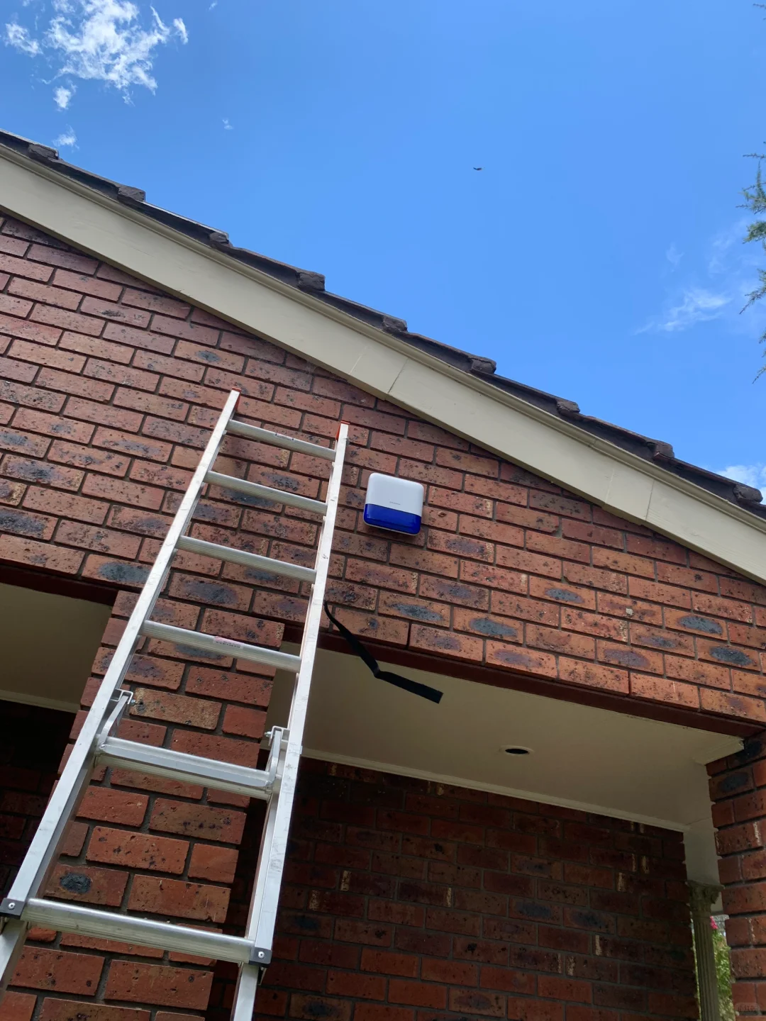 不要忽略室内红外报警器的作用，真的很重要