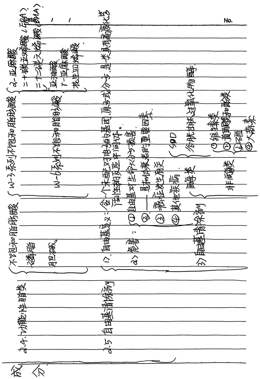 《功能性食品》前三章笔记