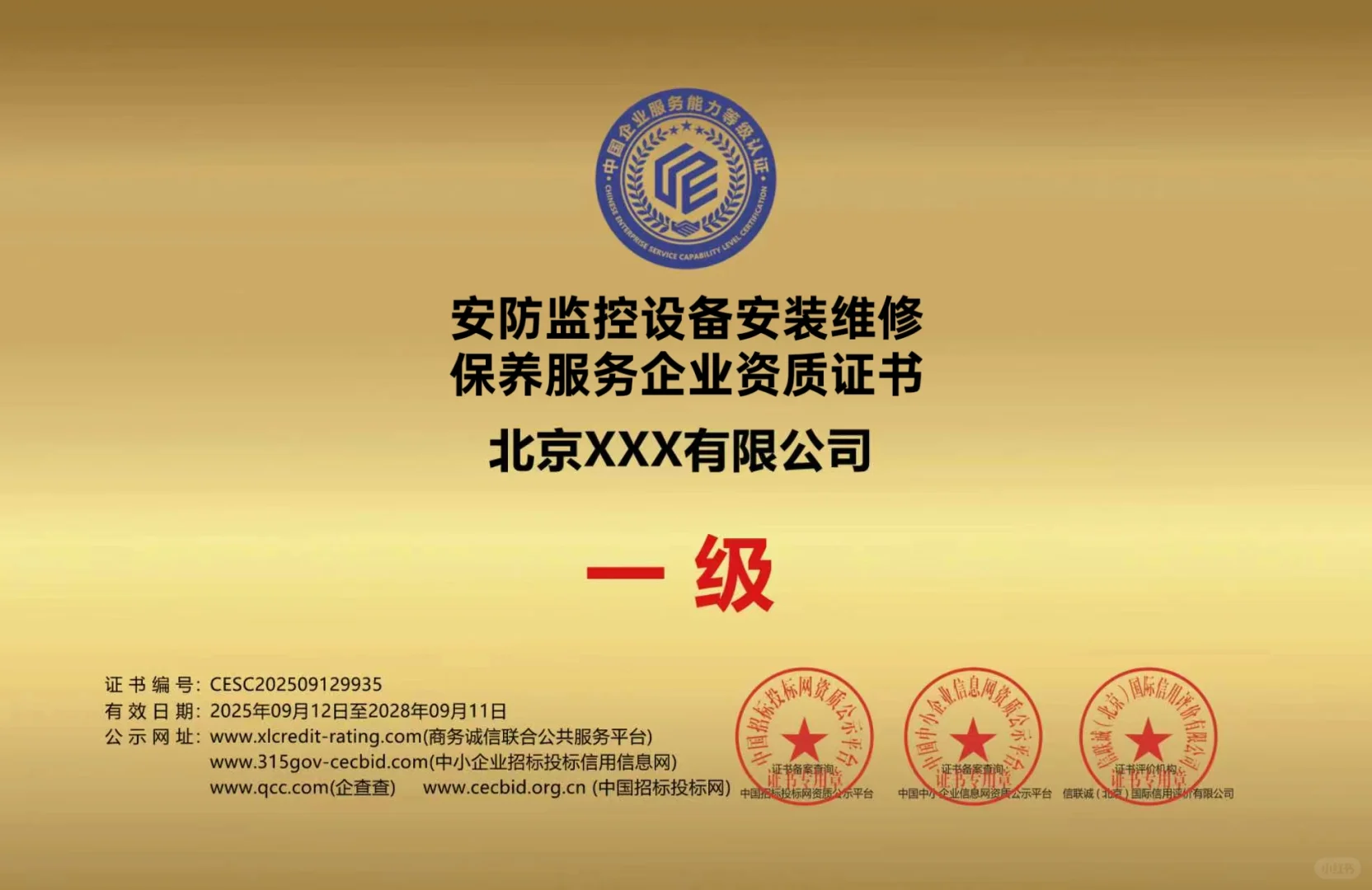 安防监控设备安装维修保养服务企业一级证书