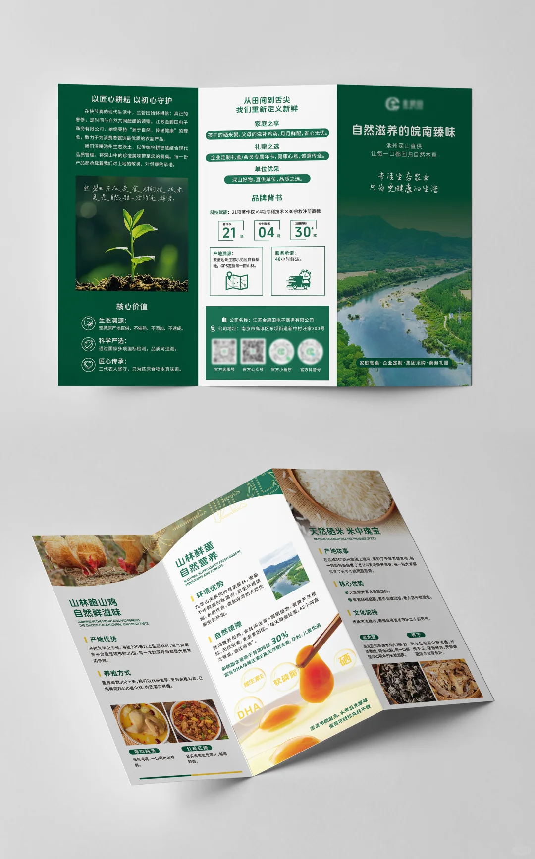 ?农产品三折页设计说明|把自然搬进设计里