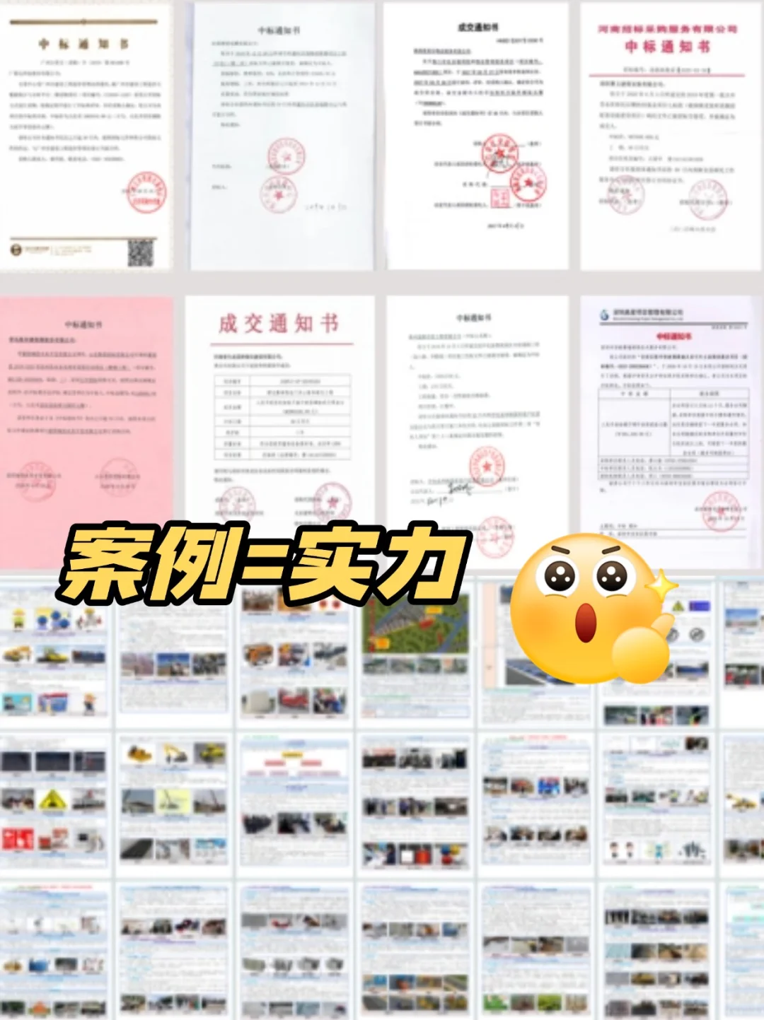 专业标书制作丨商务标、技术标...代写